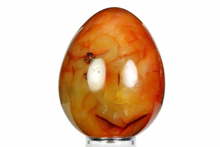Vibrant Polished Carnelian Agate Egg - Madagascar #355495